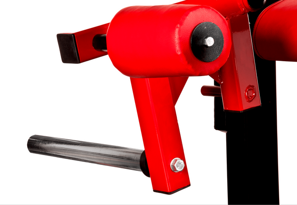 Hammer na mięśnie dwugłowe uda PM12 Kelton STRENGTH