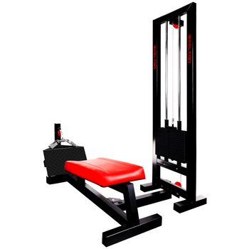Maszyna na mięśnie pleców PMS10s