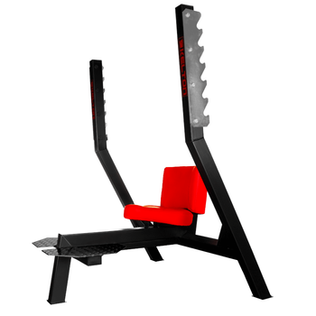 Ławka do wyciskania siedząc PL3